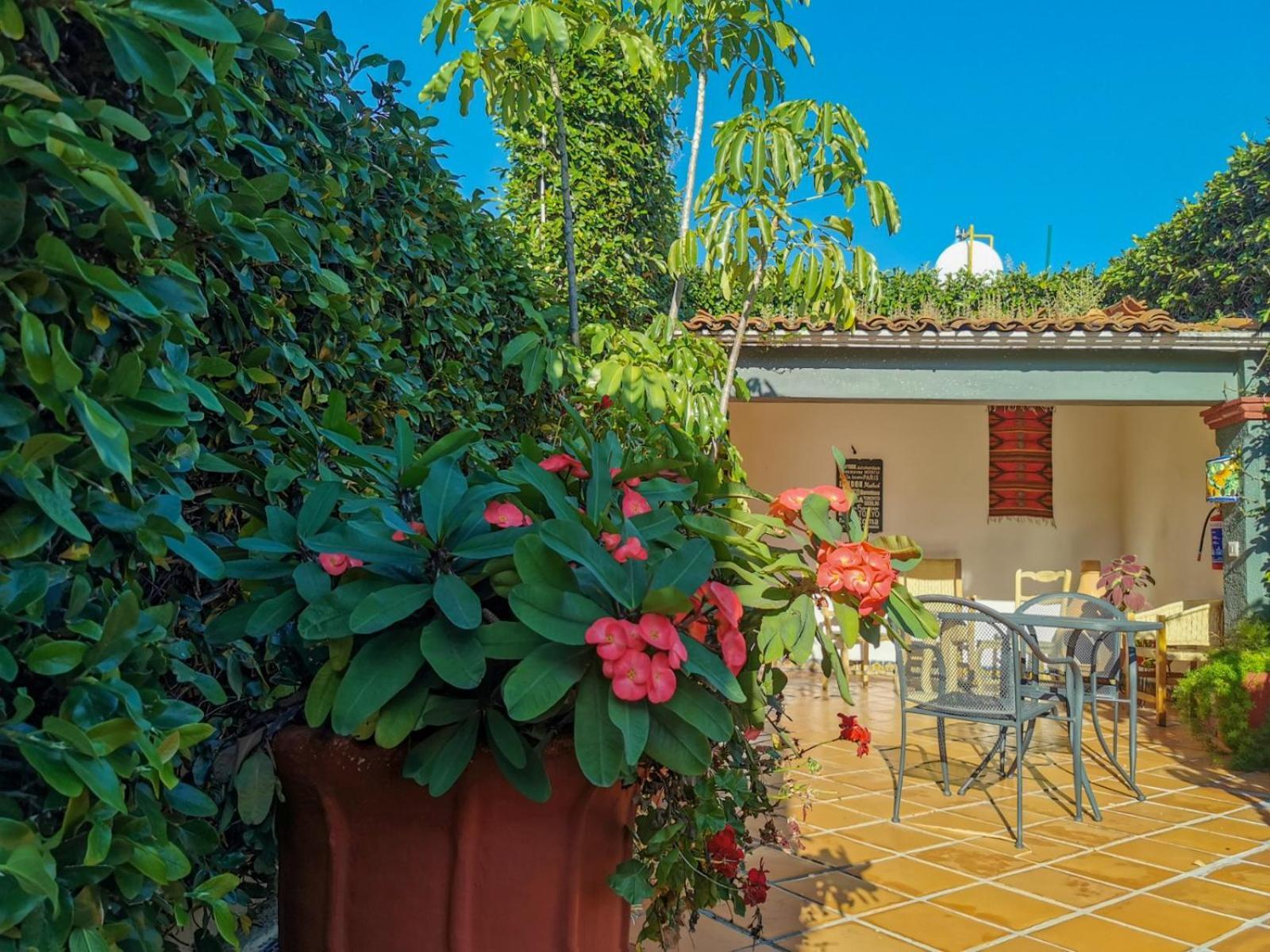 Hotel Casa Guiva Oaxaca Exterior foto